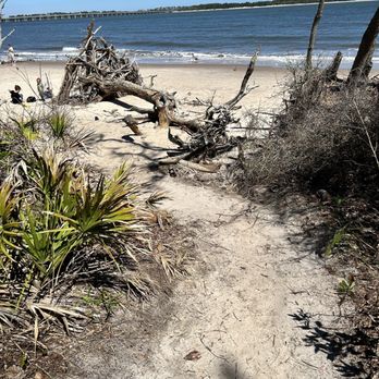 Big Talbot Island State Park - Entrance to the beach. - Parks Near Me - Jacksonville, Florida Big Talbot Island State Park - Entrance to the beach. - Parks Near Me - Jacksonville, Florida