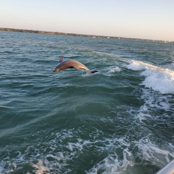 Clearwater Beach - Dolphin Cruises - Beaches Near Me Clearwater Beach - Dolphin Cruises - Beaches Near Me