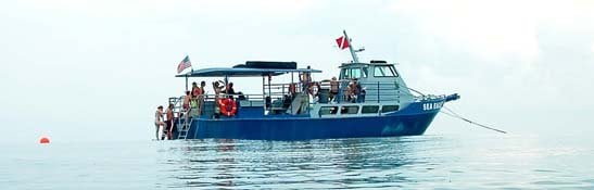 Captain's Corner Dive Center by null