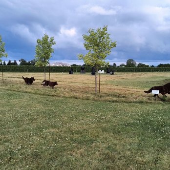 13th Street Winery - Wineries Near Me - St. Catharines, Ontario 13th Street Winery - Wineries Near Me - St. Catharines, Ontario