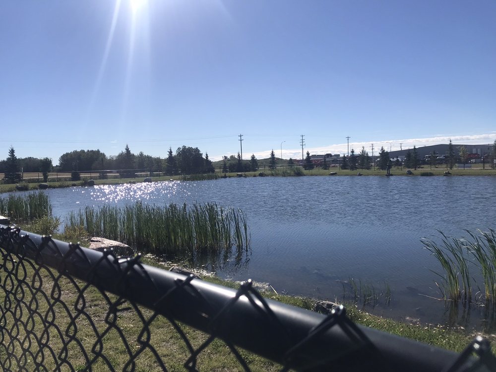 IRON HORSE TRAIL CAMPGROUND Updated September 2024 10 Photos 4012