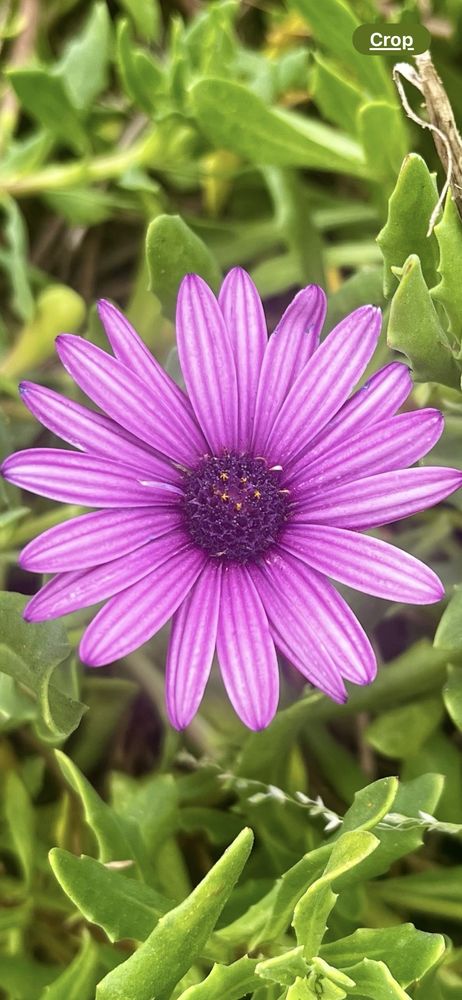 Hands From Above Massage Therapy