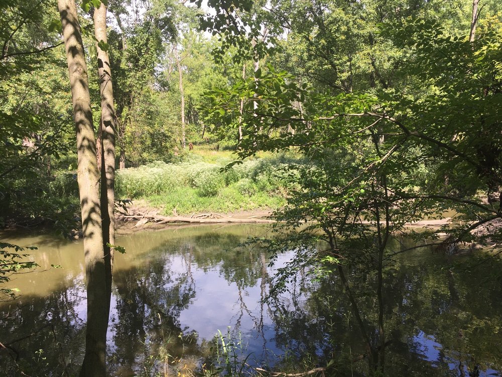 ST. PAUL WOODS Updated October 2024 13 Photos 6594 Oakton St