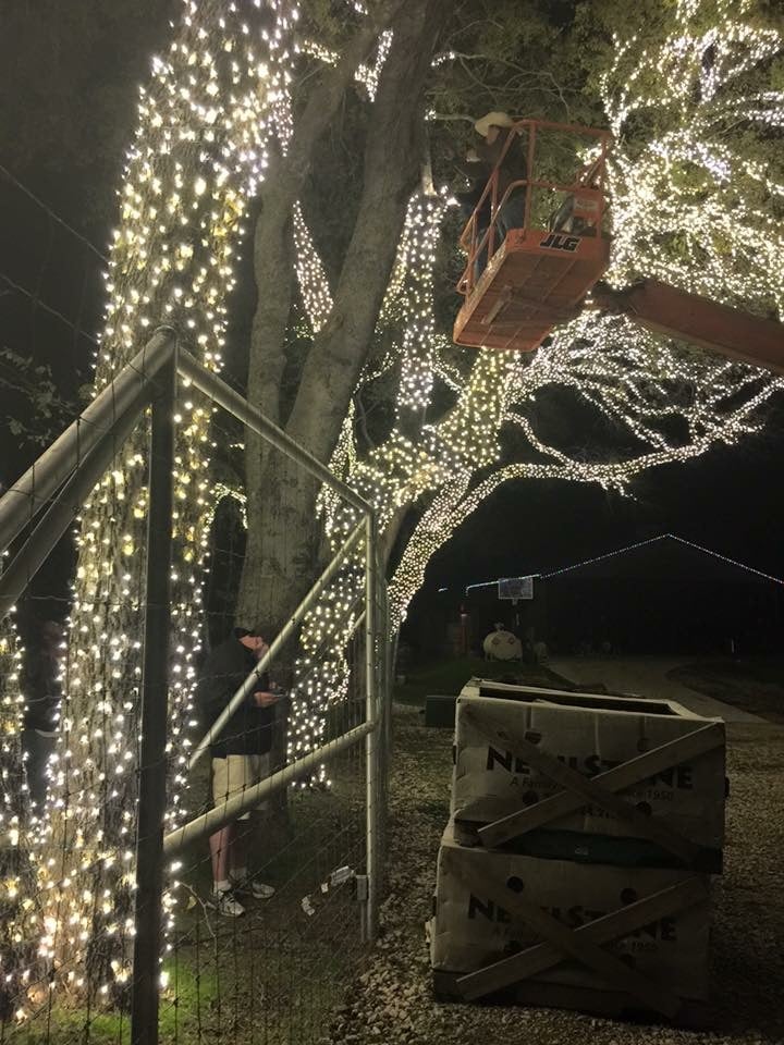 Slide of Mckinney Christmas Lights