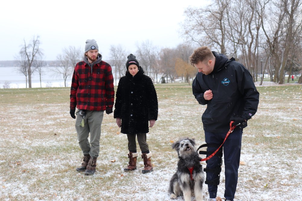 SOUTHWEST DOG TRAINING Updated August 2024 Request Consultation