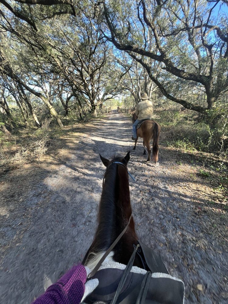 Choyce, LLC - equestrian in San Antonio, FL
