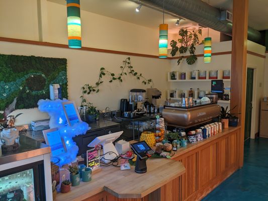 Queer Plants Cafe by null