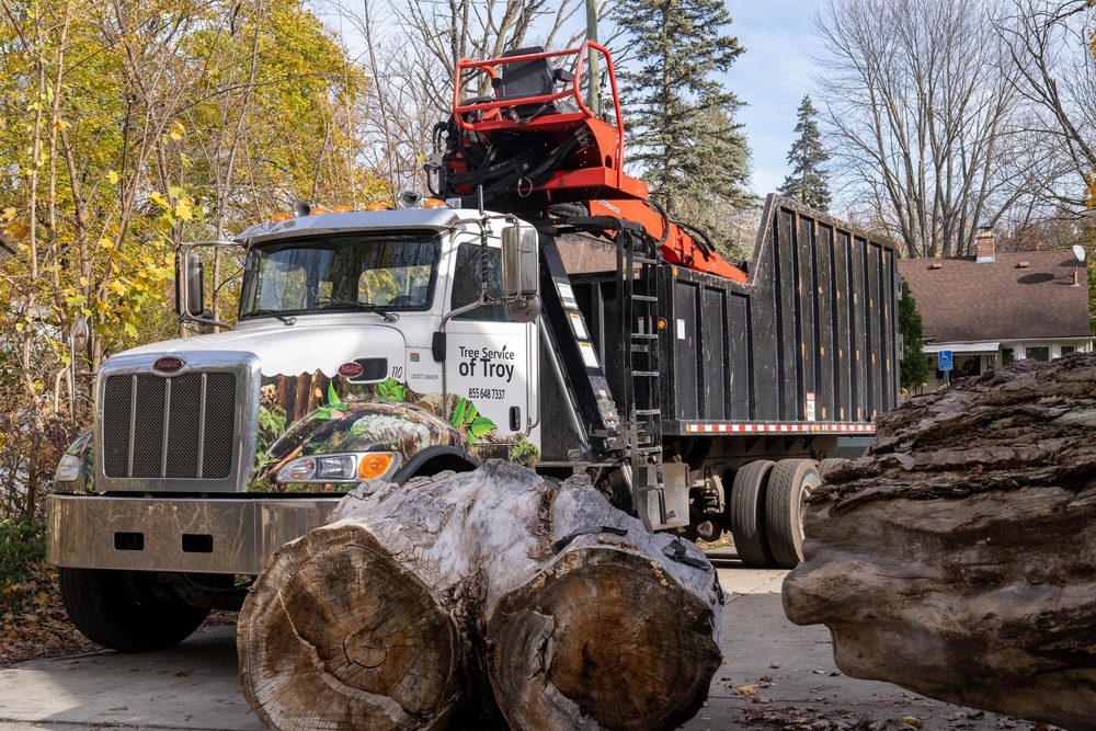 Tree Service of Troy - tree service in Troy, MI