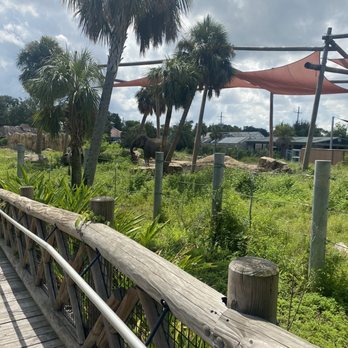 Audubon Zoo - Elephant exhibit - Aquariums Near Me - New Orleans, Louisiana
