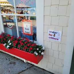 a bucket of flowers in front of a store