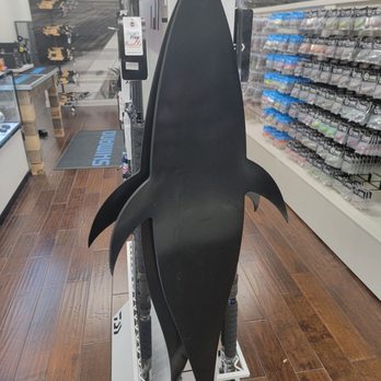 Bayou City Angler - Hunting & Fishing Supplies Near Me - Houston, Texas Bayou City Angler - Hunting & Fishing Supplies Near Me - Houston, Texas