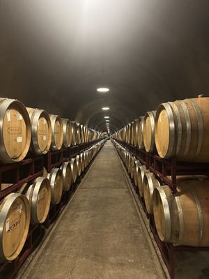 Kunde Family Winery by null