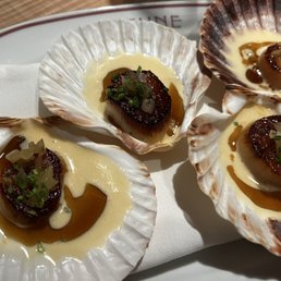 Scallops