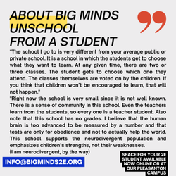 Big Minds Unschool