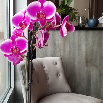 Viet Fire Kitchen - Waiting area, beautiful orchids - Vietnamese Near Me - Ashburn, Virginia Viet Fire Kitchen - Waiting area, beautiful orchids - Vietnamese Near Me - Ashburn, Virginia