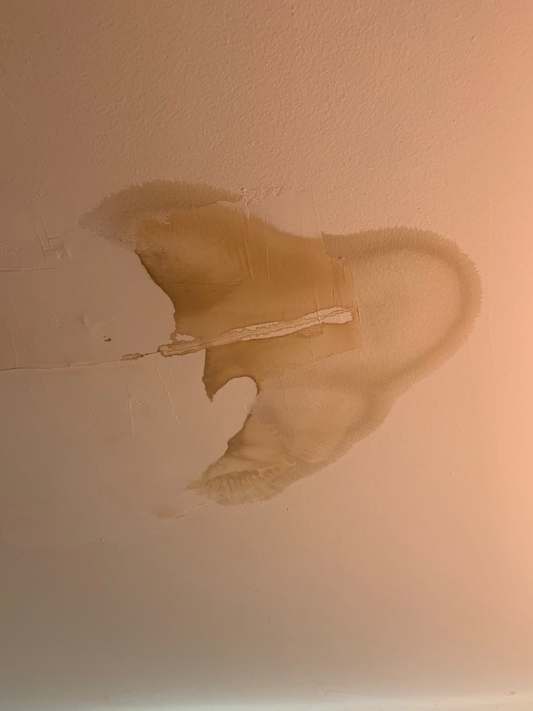 NEW COLONIES Updated October 2024 79 Photos & 20 Reviews 316 W