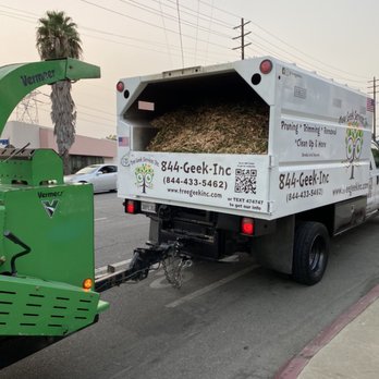 Tree Geek Services - One full tree chipped down ready to get recycled to the green dump yard - Tree Services Near Me Tree Geek Services - One full tree chipped down ready to get recycled to the green dump yard - Tree Services Near Me