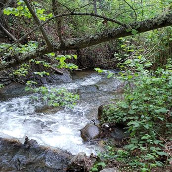 Ashland Creekside Campground - RV Parks Near Me - Ashland, Oregon