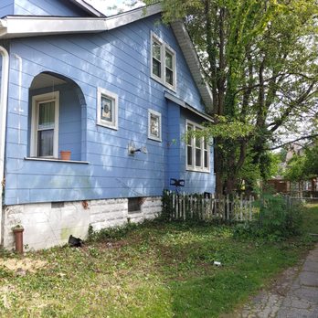 Baltimore Tree Experts - After - Tree Services Near Me - Baltimore, Maryland