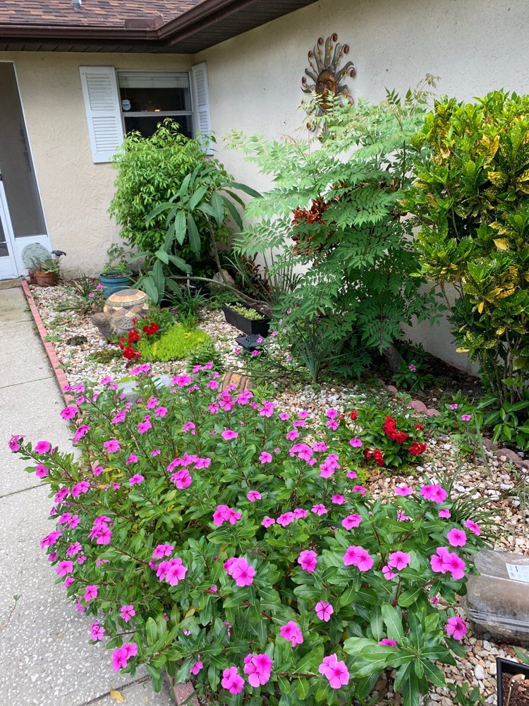 SKY TEARS SPRINKLERS Updated September 2024 4803 Capron St, New Port Richey, Florida Phone