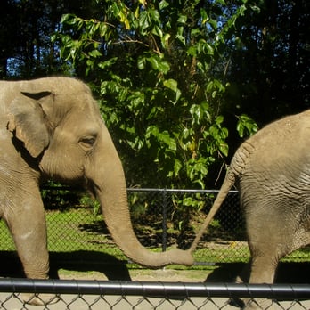 Australia Zoo - Zoos Near Me - Beerwah, QLD