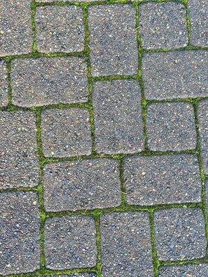 Tillamook Forest Center by null