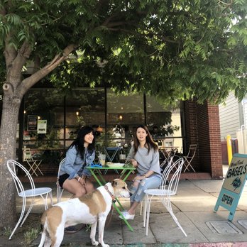 Wise Sons - Sidewalk seating, curb your dog - Breakfast & Brunch Near Me - Oakland, California Wise Sons - Sidewalk seating, curb your dog - Breakfast & Brunch Near Me - Oakland, California