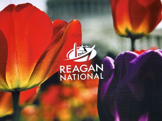 Ronald Reagan Washington National Airport by null
