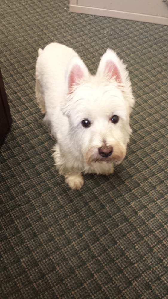 THE PLUSH PUP Updated September 2024 301 West Ave, North Augusta