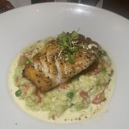 Cod fish with lobster risotto
