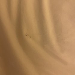 Sonesta Milwaukee West Wauwatosa