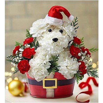 Fran's Flowers - What they should look like and how they looked. - Florists Near Me - Seattle, Washington Fran's Flowers - What they should look like and how they looked. - Florists Near Me - Seattle, Washington