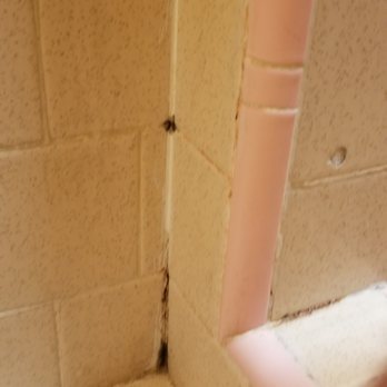 Sierra Lodge - Shower has mold - Hotels Near Me - Three Rivers, California Sierra Lodge - Shower has mold - Hotels Near Me - Three Rivers, California