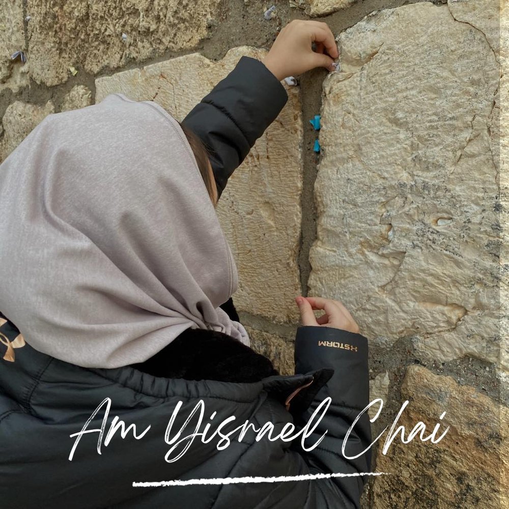 Shaan Saar Krav Maga Logo