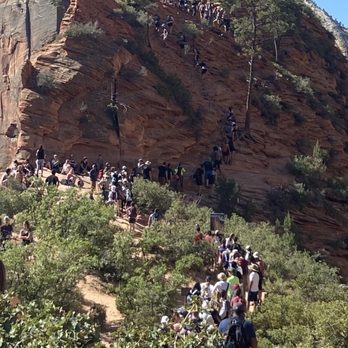 Angel's Landing - Hiking Near Me - Springdale, Utah Angel's Landing - Hiking Near Me - Springdale, Utah