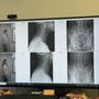 Photo of The Drugless Doctors