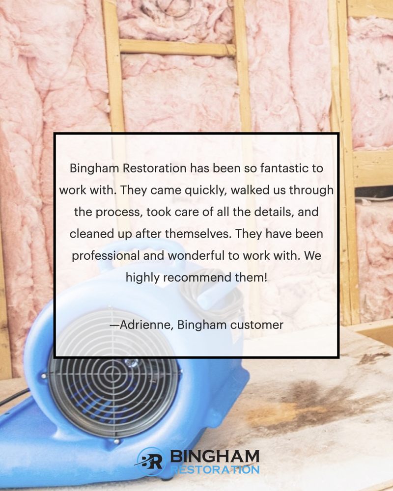 Bingham Restoration - mold inspector in Las Vegas, NV