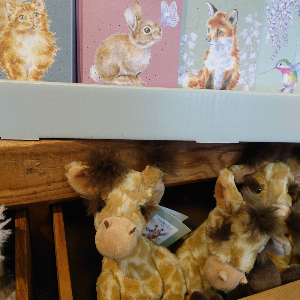 Trudy’s Hallmark Shop - Cute :) - Cards & Stationery Near Me - Issaquah, Washington Trudy’s Hallmark Shop - Cute :) - Cards & Stationery Near Me - Issaquah, Washington
