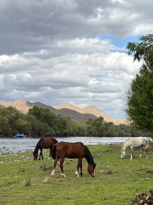 Cliff Creek Outfitters Guided Tours & Rentals by null