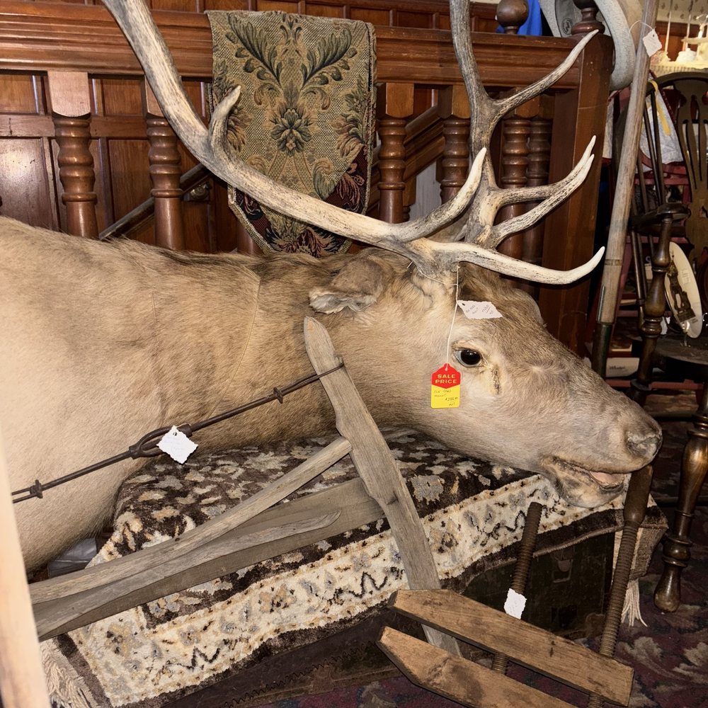 o Jupiter Florida Real Estate For Sale