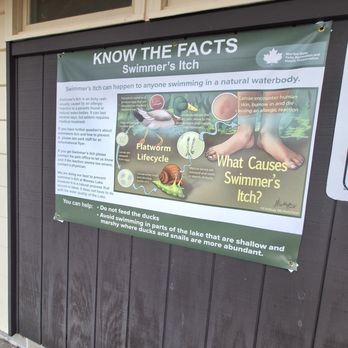 Moreau State Park - Eww thats gross and scary. - Hiking Near Me - Gansevoort, New York Moreau State Park - Eww thats gross and scary. - Hiking Near Me - Gansevoort, New York