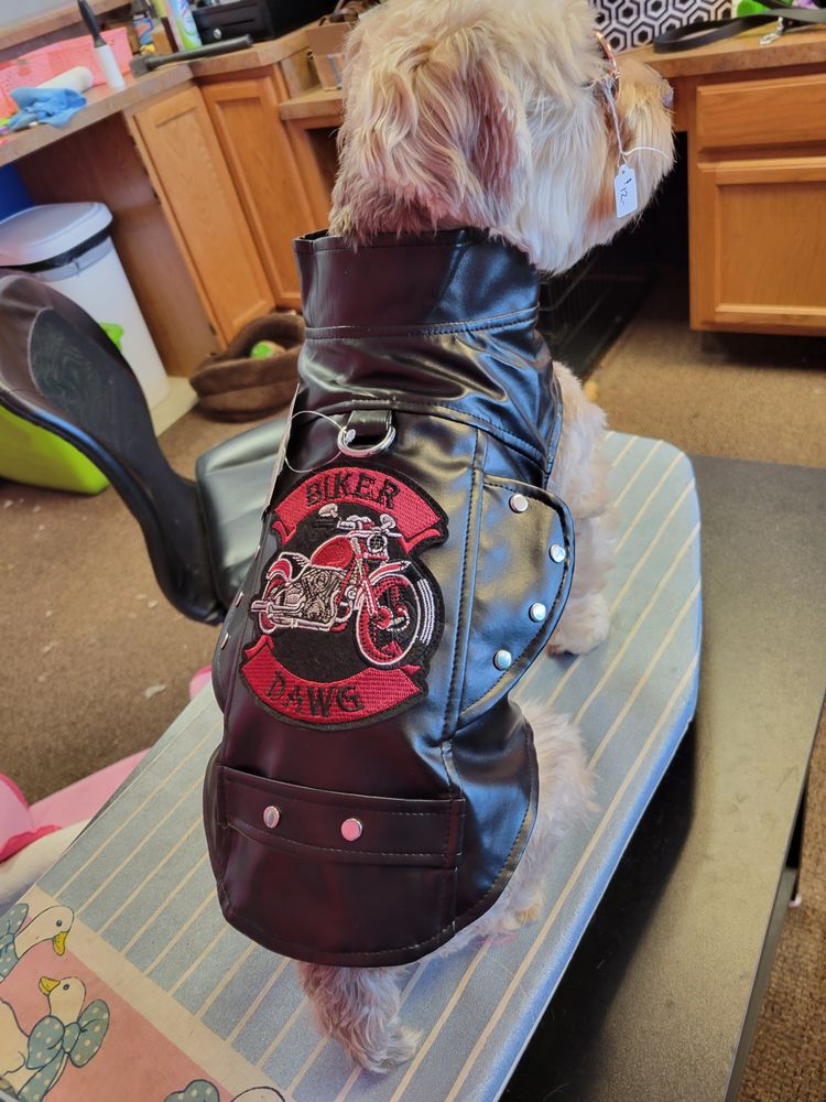 THE POSH PET BOUTIQUE & GROOMING Updated September 2024 7348 Mentor