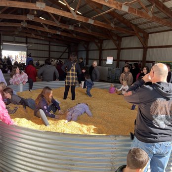 Konow's Corn Maze - Corn pit - Attraction Farms Near Me - Homer Glen, Illinois