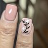 Palazzo Nail Lounge gift card