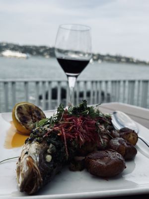 Scoma's of Sausalito by null