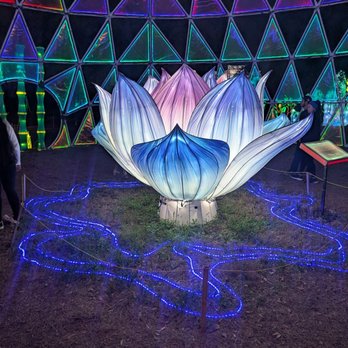 Houston Botanic Garden - Radiant Nature lotus flower - Venues & Event Spaces Near Me - Houston, Texas Houston Botanic Garden - Radiant Nature lotus flower - Venues & Event Spaces Near Me - Houston, Texas