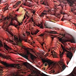 Tucker's Seafood - Hot boiled crawfish