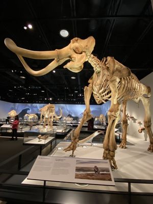 Royal Alberta Museum by null