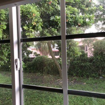 Big Dawg's Tree Service - Before - Tree Services Near Me - Miami, Florida Big Dawg's Tree Service - Before - Tree Services Near Me - Miami, Florida
