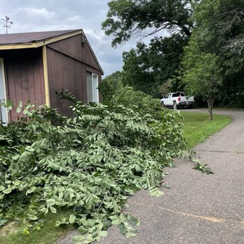 Scheidler Land Services - Cut trees. - Tree Services Near Me - Eleva, Wisconsin